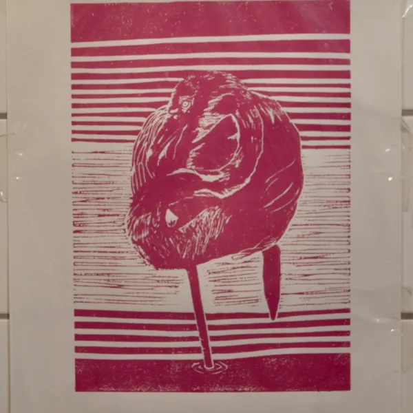 Flamingo i Rosa